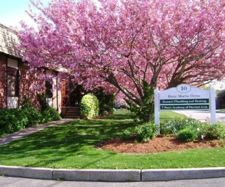 Seven Stars Academy of Martial Arts