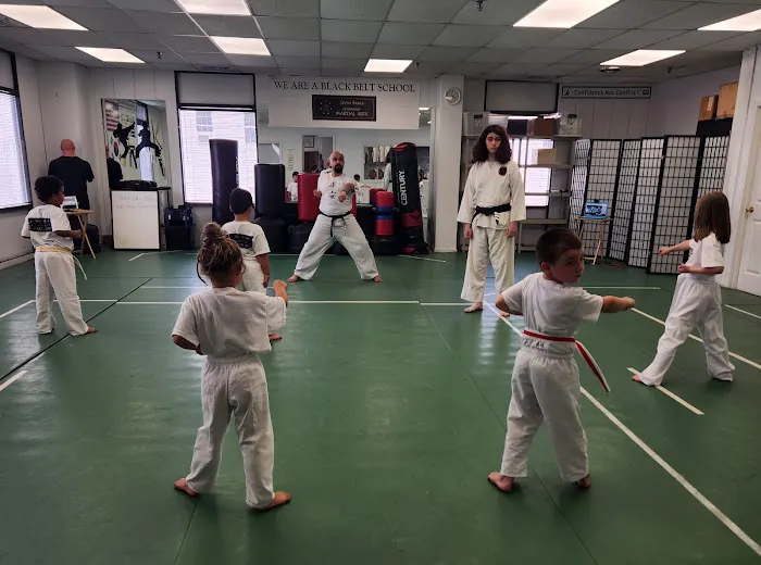 Seven Stars Academy of Martial Arts Picture 2