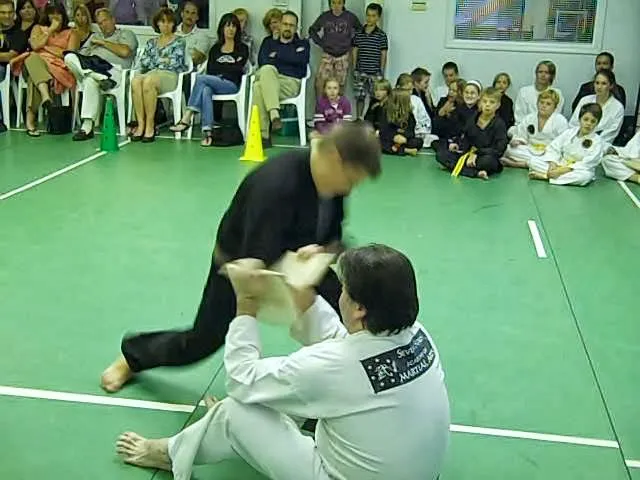 Seven Stars Academy of Martial Arts Picture 7