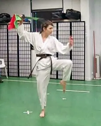 Seven Stars Academy of Martial Arts Picture 4