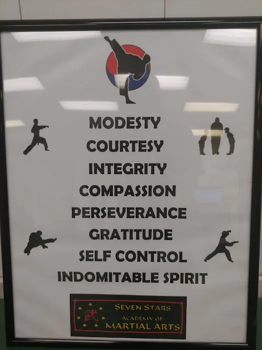 Seven Stars Academy of Martial Arts Picture 6