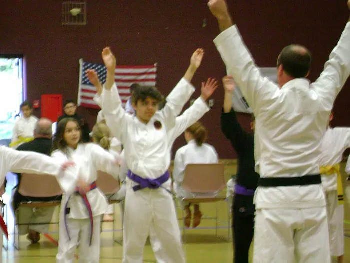 Seven Stars Academy of Martial Arts Picture 10