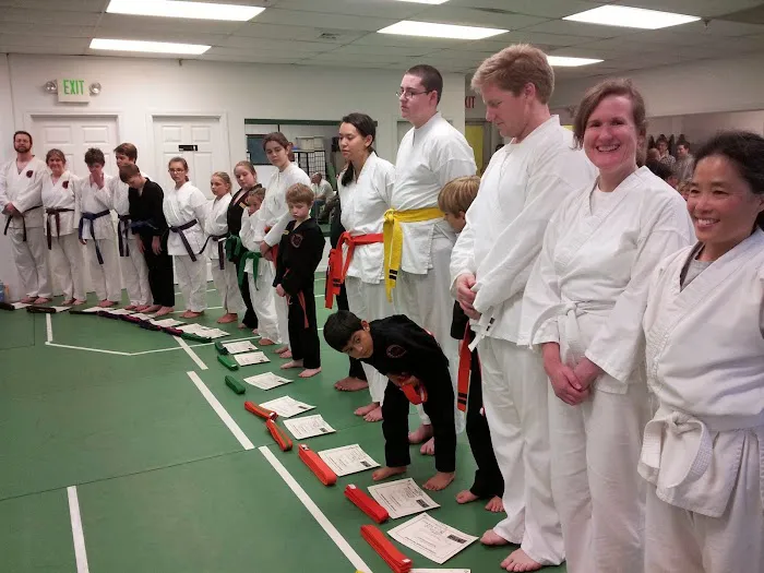 Seven Stars Academy of Martial Arts Picture 9