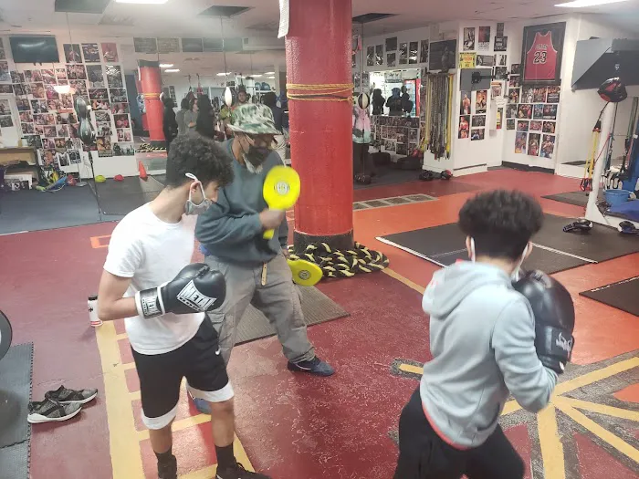 One Punch Boxing Club Picture 6