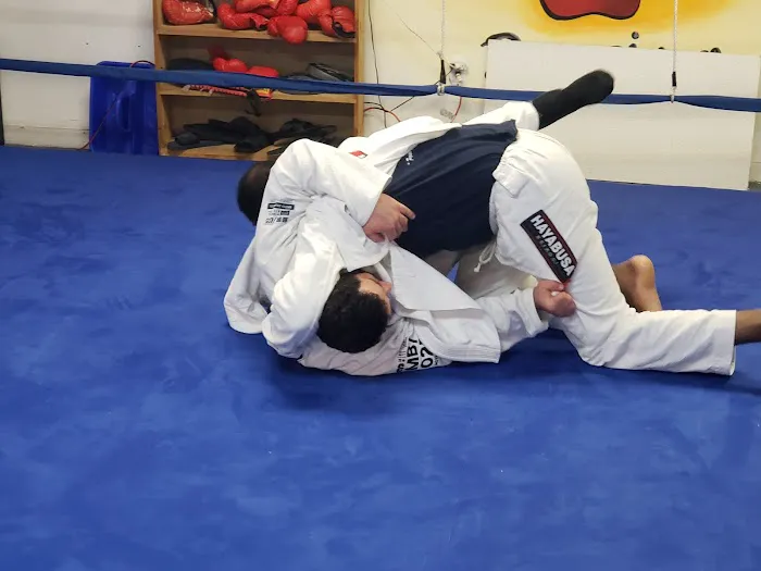 One Punch Boxing Club Picture 9