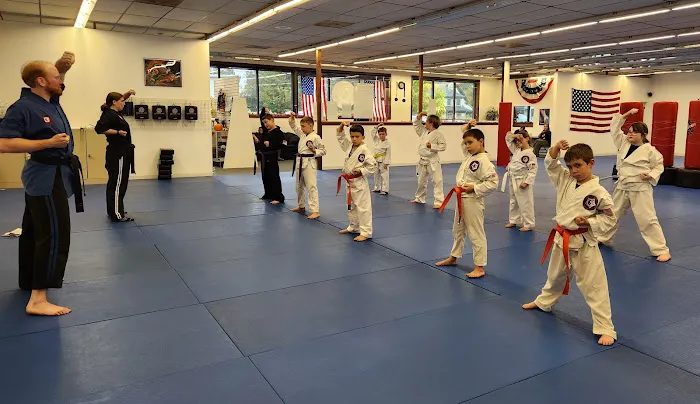 American Kempo Karate Academy Picture 1