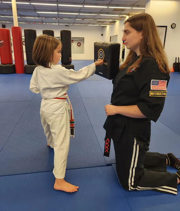 American Kempo Karate Academy Picture 6