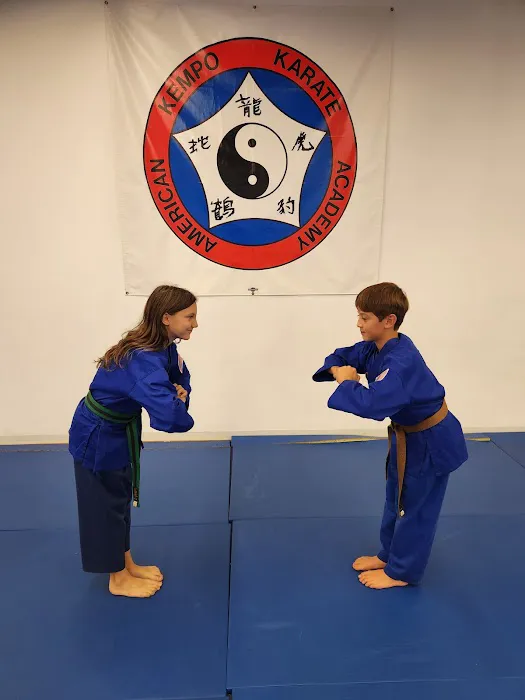 American Kempo Karate Academy Picture 7