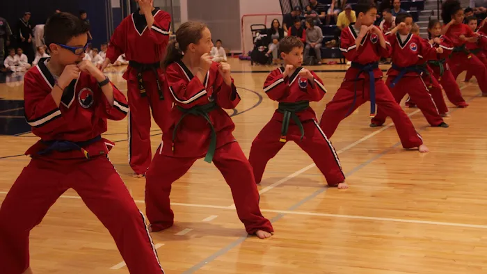 Boston TKD Academy & Fitness Picture 1