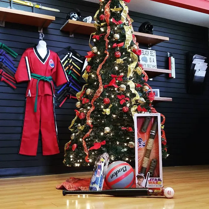 Boston TKD Academy & Fitness Picture 8