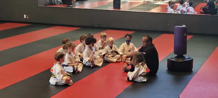 Boston TKD Academy & Fitness Picture 9