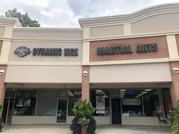 Dynamic Kick Martial Arts of Fair Lakes Picture 1