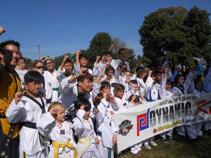 Dynamic Kick Martial Arts of Fair Lakes Picture 3