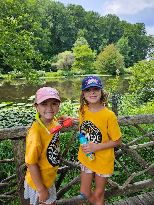 Dynamic Kick Martial Arts of Fair Lakes Picture 4