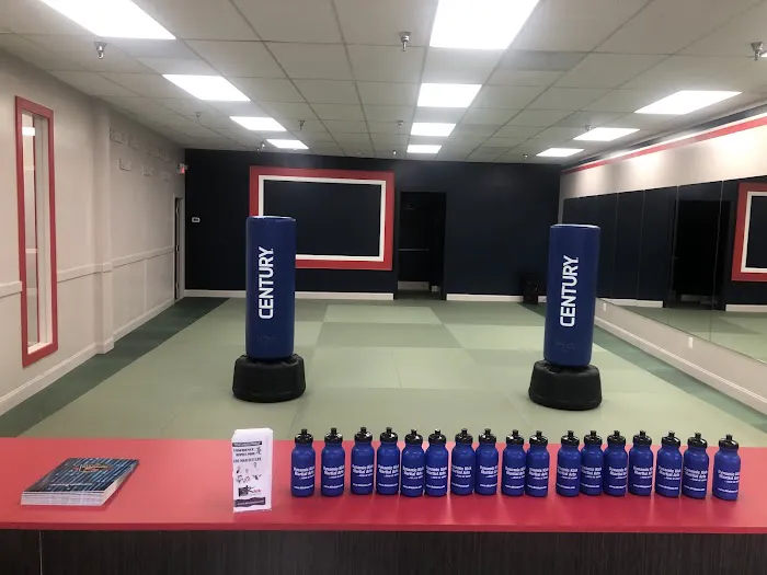 Dynamic Kick Martial Arts of Fair Lakes Picture 7