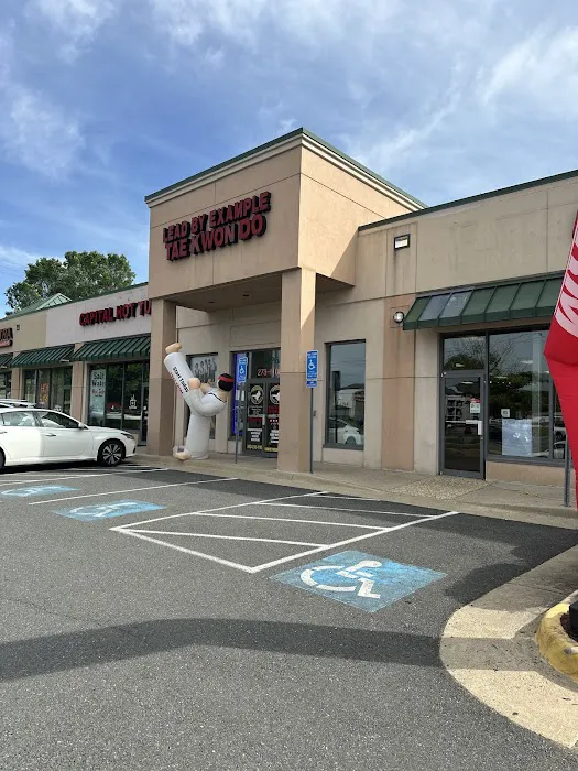 Lead By Example Tae Kwon Do Picture 4