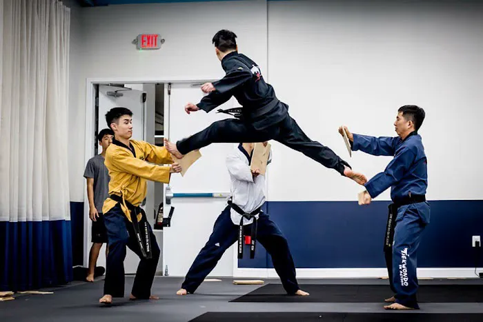Taekwondo In Action - Fairfax Picture 1