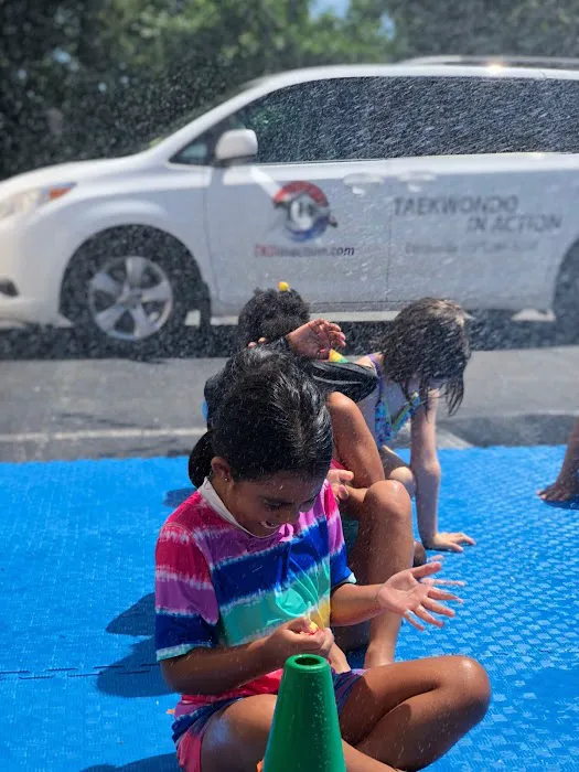 Taekwondo In Action - Fairfax Picture 5