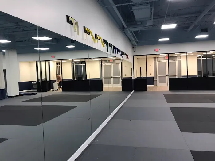 Taekwondo In Action - Fairfax Picture 3