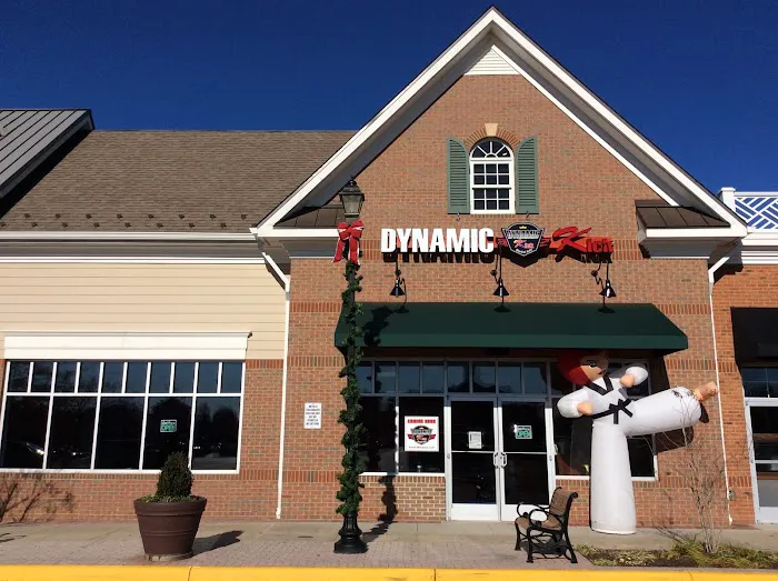 Dynamic Kick Martial Arts of Haymarket Picture 3