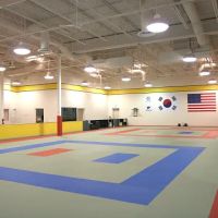 USTigers Taekwondo ico