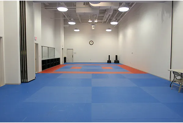 USTigers Taekwondo Picture 2