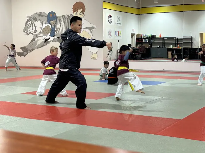 USTigers Taekwondo Picture 6