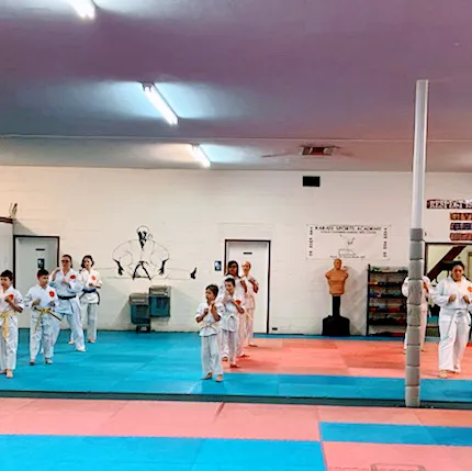 Karate Sports Academy Picture 5