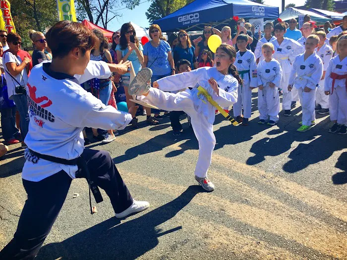 Dynamic Kick Martial Arts of Gainesville Picture 4