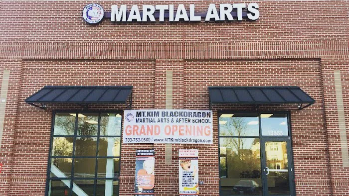 Mt.Kim Black Dragon Martial Arts - Summer Camp / After School Picture 2