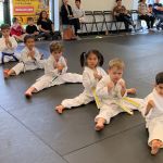Mt.Kim Black Dragon Martial Arts - Summer Camp / After School