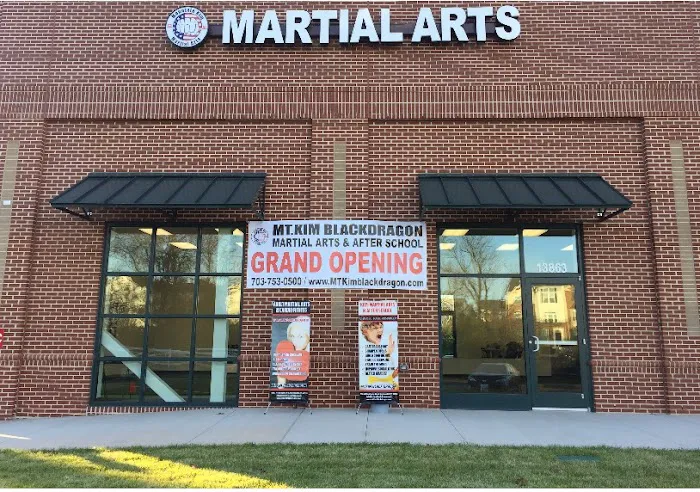 Mt.Kim Black Dragon Martial Arts - Summer Camp / After School Picture 4