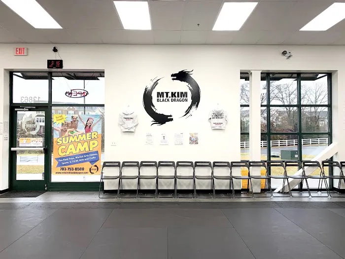 Mt.Kim Black Dragon Martial Arts - Summer Camp / After School Picture 7