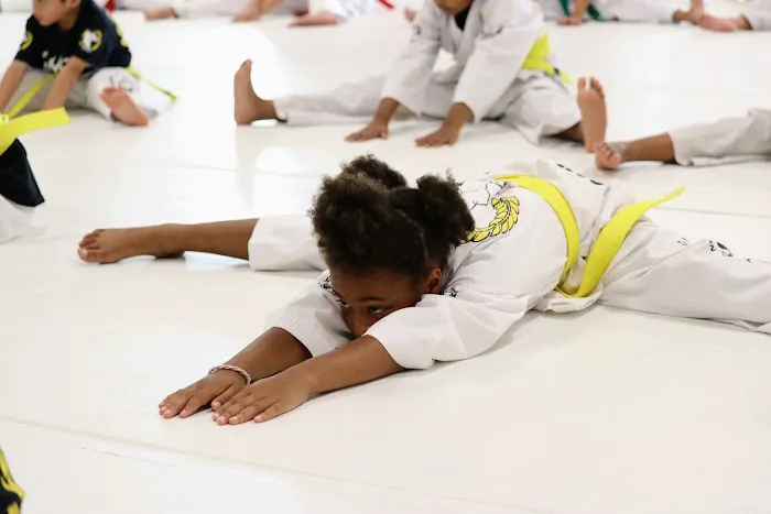 Kwon's Champion School Picture 10