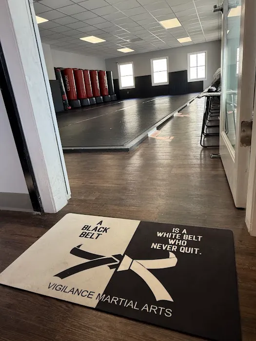 Vigilance Martial Arts (formerly Martial Arts On The Go) Picture 2