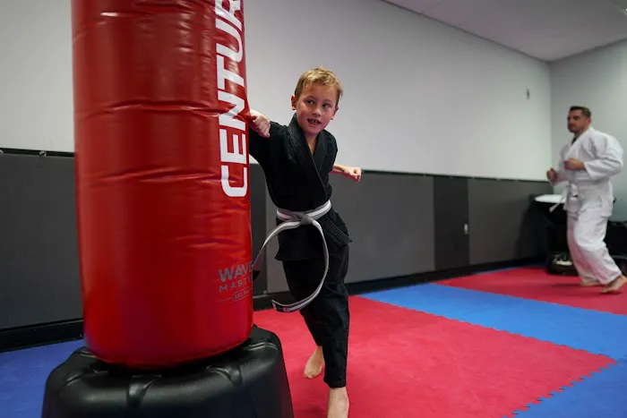 Vigilance Martial Arts (formerly Martial Arts On The Go) Picture 4