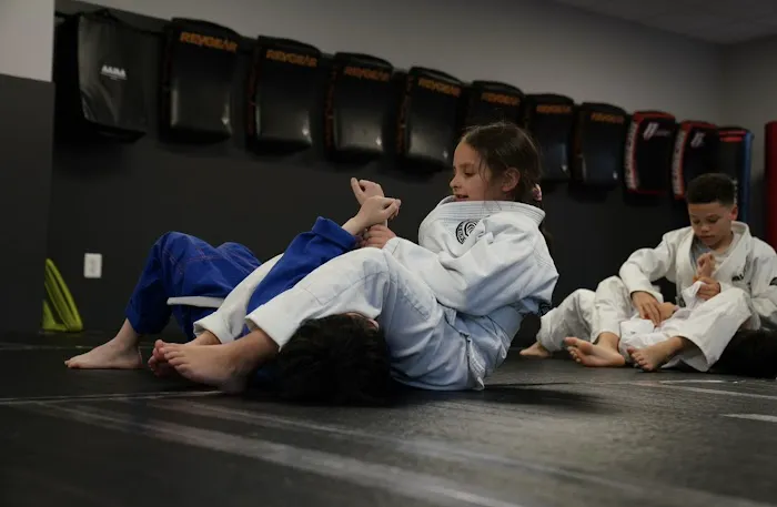 Vigilance Martial Arts (formerly Martial Arts On The Go) Picture 5