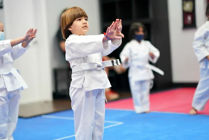 Vigilance Martial Arts (formerly Martial Arts On The Go) Picture 8