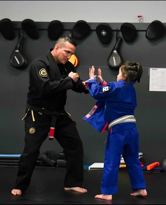 Vigilance Martial Arts (formerly Martial Arts On The Go) Picture 6