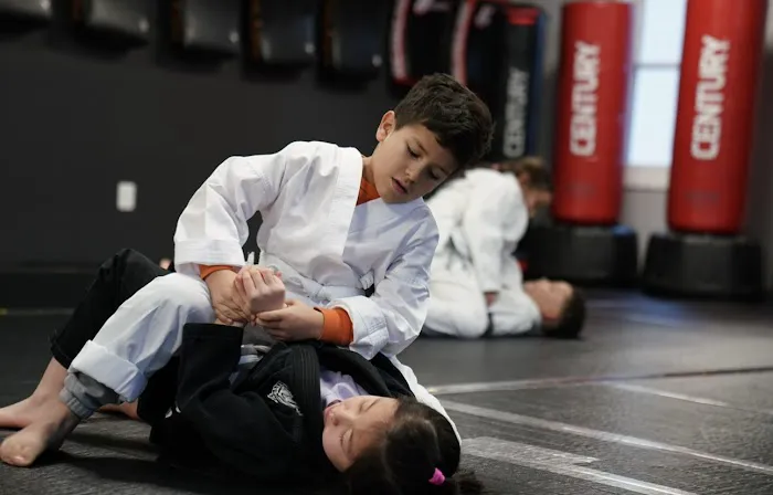 Vigilance Martial Arts (formerly Martial Arts On The Go) Picture 9