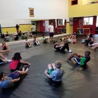 OSA Martial Arts-Fairfax City ico