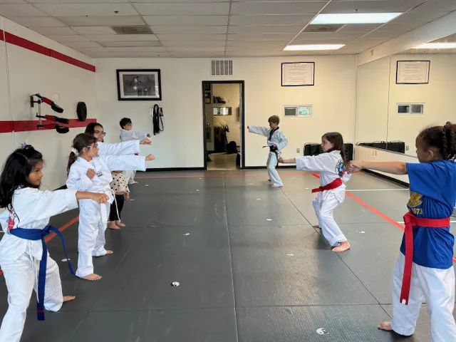 OSA Martial Arts-Fairfax City Picture 2