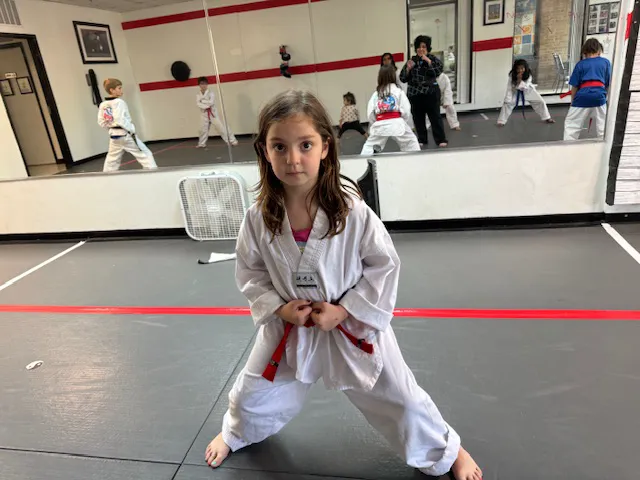 OSA Martial Arts-Fairfax City Picture 4