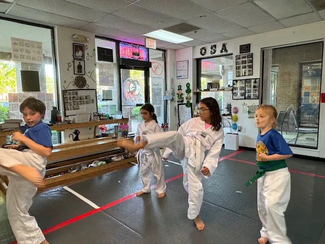 OSA Martial Arts-Fairfax City Picture 3