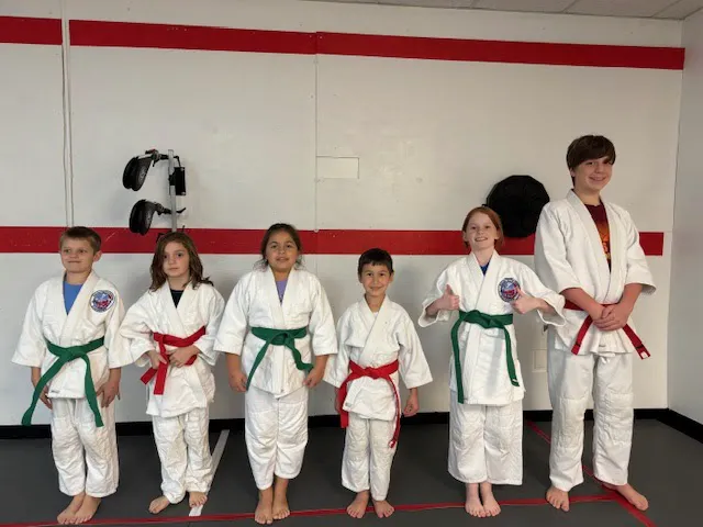 OSA Martial Arts-Fairfax City Picture 6