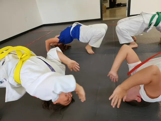 OSA Martial Arts-Fairfax City Picture 9