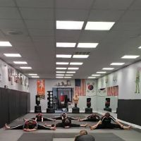 Quenzel's Karate Self Defense Club ico