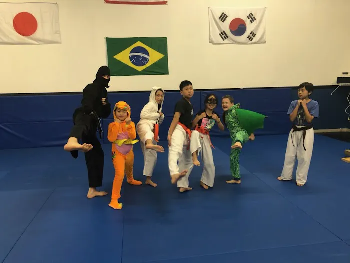 Shoshin Ryu Martial Arts Picture 1