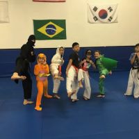 Shoshin Ryu Martial Arts ico