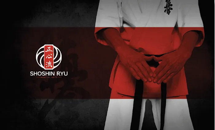 Shoshin Ryu Martial Arts Picture 8